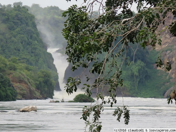 Murchison Falls
Una de los paseos  es el boat cruise desde Paraa hasta la parte inferior de las cascadas Murchison sobre el Nilo Victoria.Decenas de hipos, elefantes, cocodrilos, bufalos se acercan a las orillas
