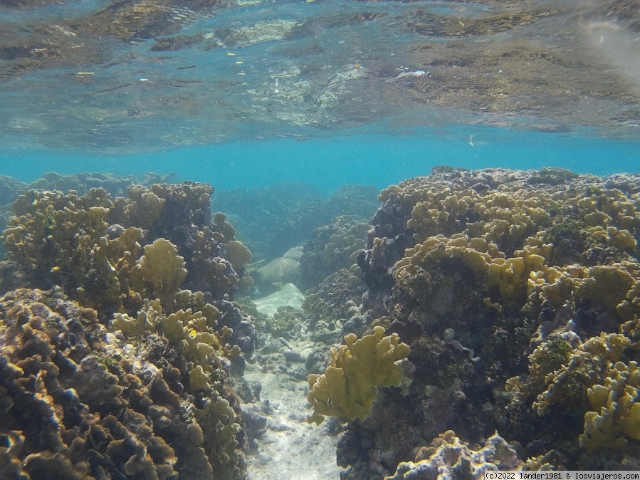 Llegada a Panamá y excursión a isla Yanis en San Blás - Panamá por libre en 11 días Oct. - Nov. 2021 (2)