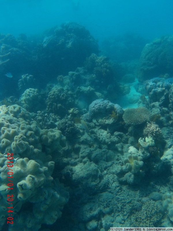 Daintree: Cape tribulation y gran barrera de coral - Australia por libre en septiembre 2019 (5)