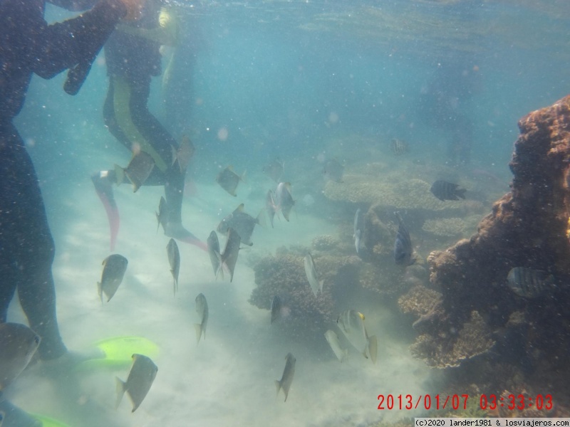 Llegada a Brisbane y excursión a Moreton Island - Australia por libre en septiembre 2019 (5)