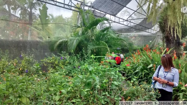 granja de mariposas chiang mai
granja de mariposas chinag mai
