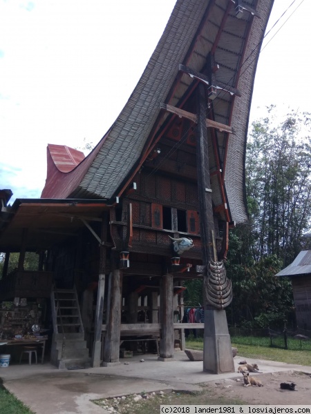 Casa Toraja Tradicional
Casa Toraja Tradicional
