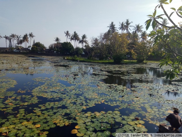 Bali, desde Ubud hasta Amed templos y vuelta a Ubud - Indonesia por libre en septiembre 2017 (5)