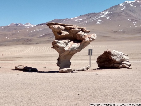 árbol de piedra
en el desierto del Siloli
