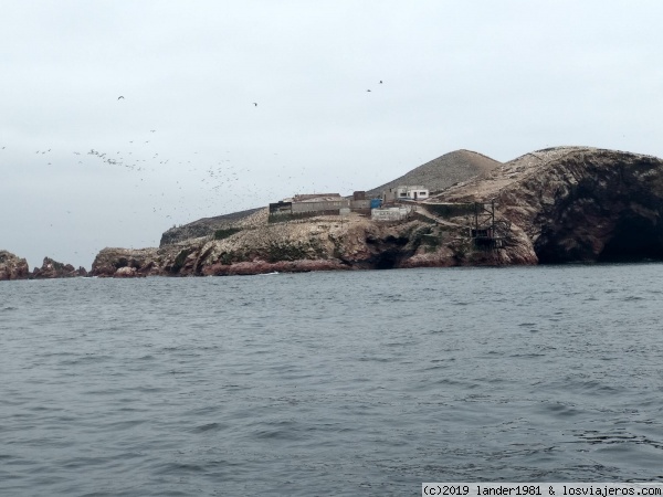 Paracas: islas ballesta y vuelta a Lima - 2018 Septiembre aventura en Perú, algo de Bolivia y Chile en solitario (2)