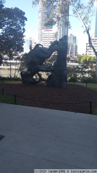 escultura de elefante en brisbane
escultura de elefante en brisbane
