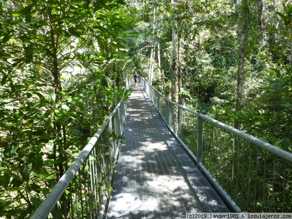 pasarela en el centro de interpretación del daintree
pasarela en el centro de interpretación del daintree
