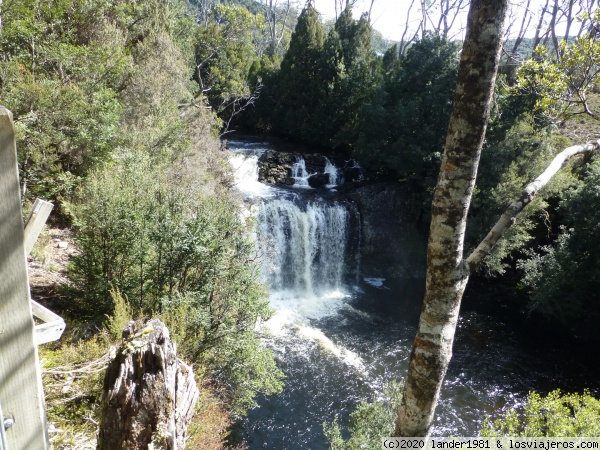 pencil pine falls
cataratas de los pinos lapicero
