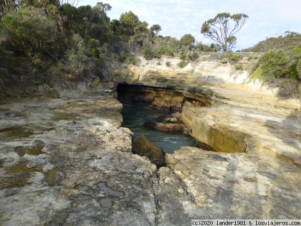 The Blowhole tasmania
The Blowhole tasmania
