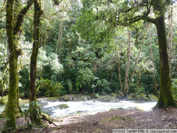 camino de las cataratas con el río Savegre (San Gerardo de Dota)
camino de las cataratas con el río Savegre (San Gerardo de Dota)
