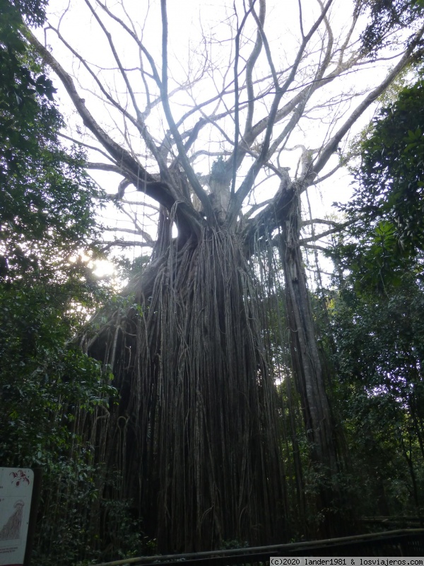 Australia por libre en septiembre 2019 - Blogs de Australia - magnetic island (1)