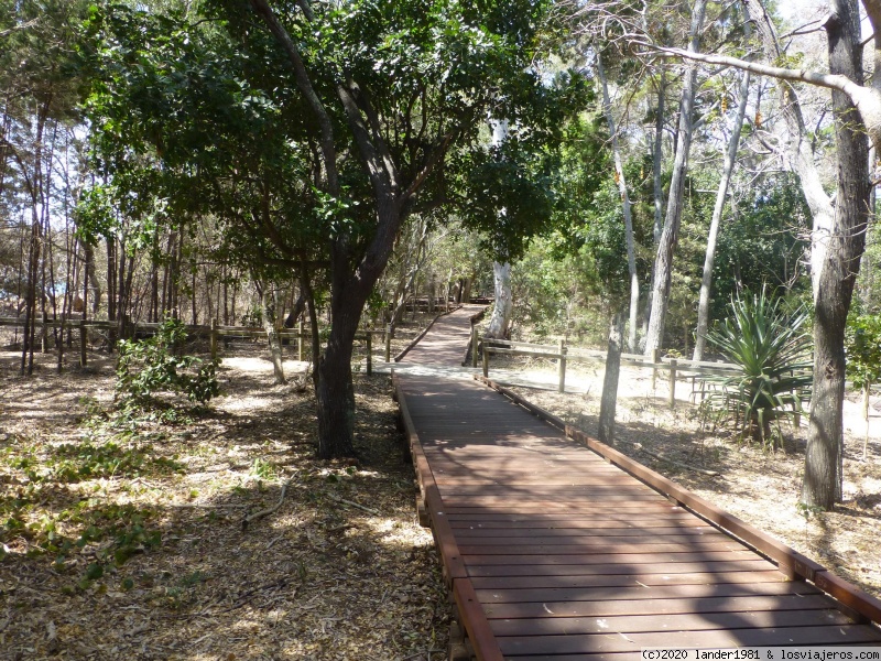 Hervey Bay (rainbow beach y Tin Can Bay) - Australia por libre en septiembre 2019 (2)