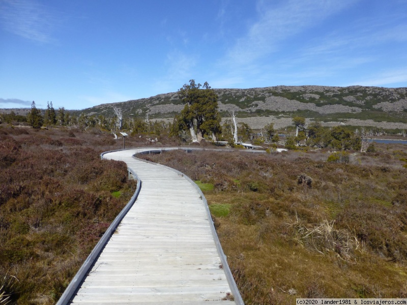 Destino Penguin, con muchas paradas en el camino - Australia por libre en septiembre 2019 (2)