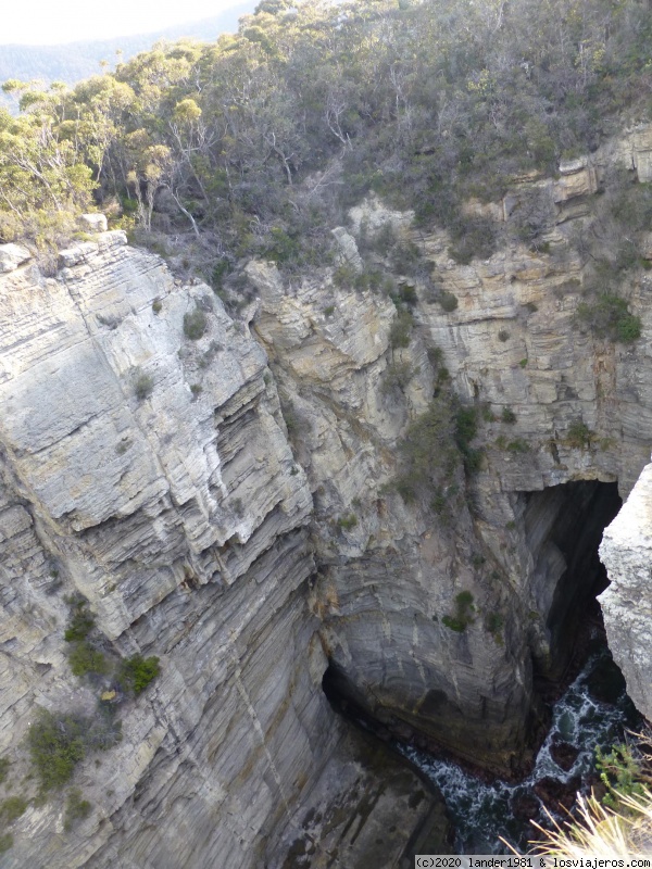 Maria Island, Tasmania - Australia por libre en septiembre 2019 (4)