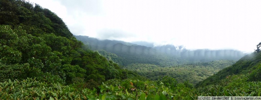 Costa Rica por libre, 24 días en Noviembre 2021 - Blogs of Costa Rica - Bosque nuboso de Monteverde, reserva de Curú y bioluminiscencia (1)