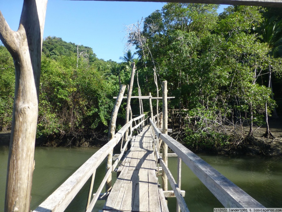 Costa Rica por libre, 24 días en Noviembre 2021 - Blogs of Costa Rica - Bosque nuboso de Monteverde, reserva de Curú y bioluminiscencia (5)