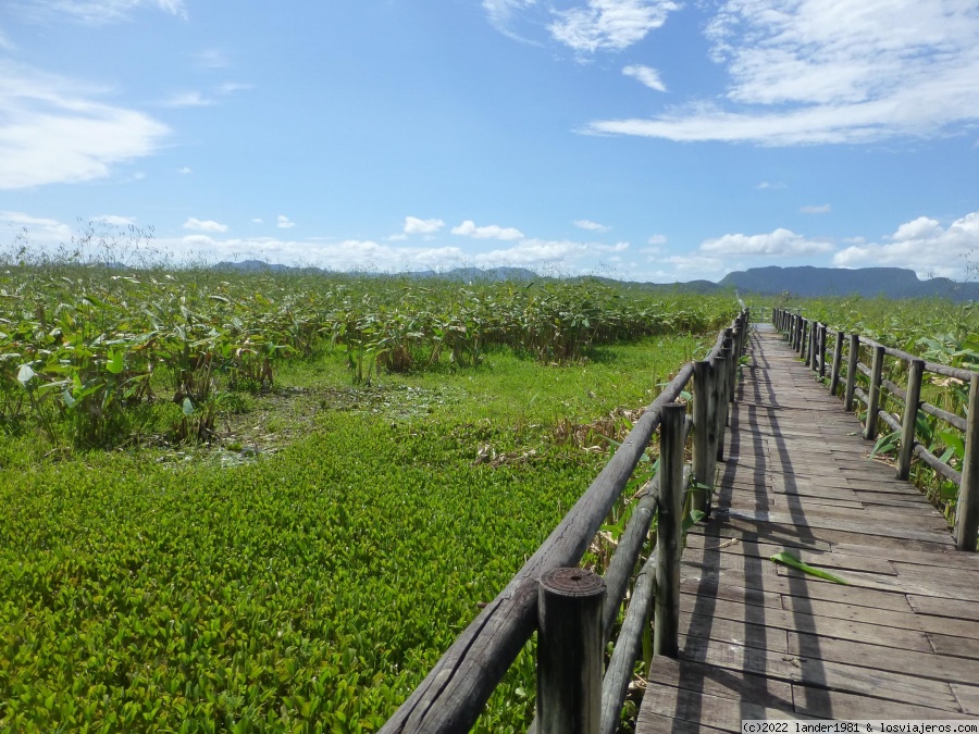 Parque nacional de Palo Verde y Parque nacional de Caño Negro. - Costa Rica por libre, 24 días en Noviembre 2021 (3)
