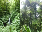 bosque nuboso y catarata, monteverde