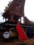 Funeral Toraja
Funeral, toraja