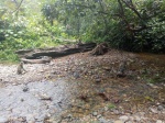 monos en Bukita Lawang
mono, bukit