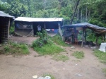 campamento en bukit lawang