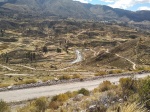 andenes preincas
anden, inca