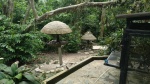 jurong bird park 1