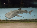 mural de tiburón ballena en Bahía Drake
mural, drake, tiburon, ballena