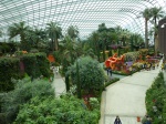 flower dome singapur
flower dome