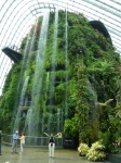 catarata en cloud forest dome
catarata cloud forest dome