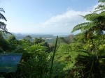 Alexandra lookout
Alexandra, Mirador, Daintree, lookout