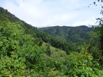 vista parque nacional de Los Quetzales
parque, nacional quetzales