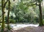 camino de las cataratas con el río Savegre (San Gerardo de Dota)