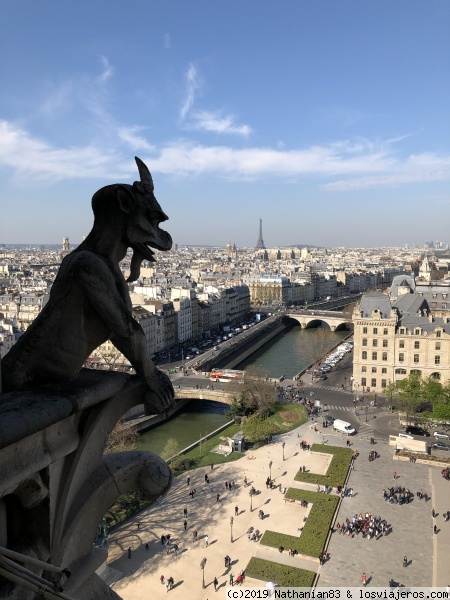 Gárgolas de Notre Dame
Vista de París desde las torres de Notre Dame.
