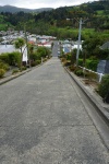 Baldwin Street
Bladwin, Dunedin