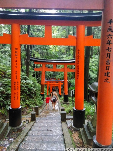 Fushimi Inari
Templo Fushimi Inari Kyoto
