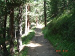 sendero en Zermatt