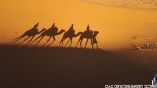 Un paseo por el desierto
Fui afortunado de poder captar esta imagen mientras iba en camello.

