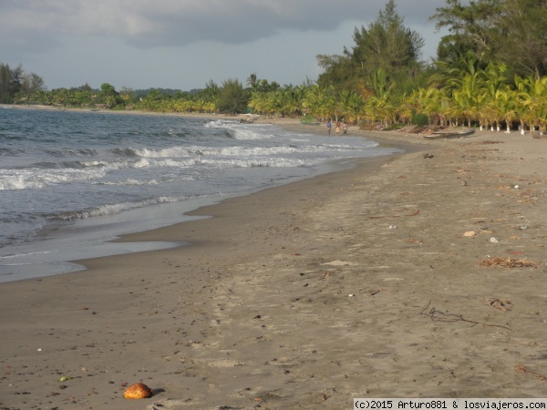 Mar Caribe en estado salvaje
Este es el auténtico y salvaje Caribe.
