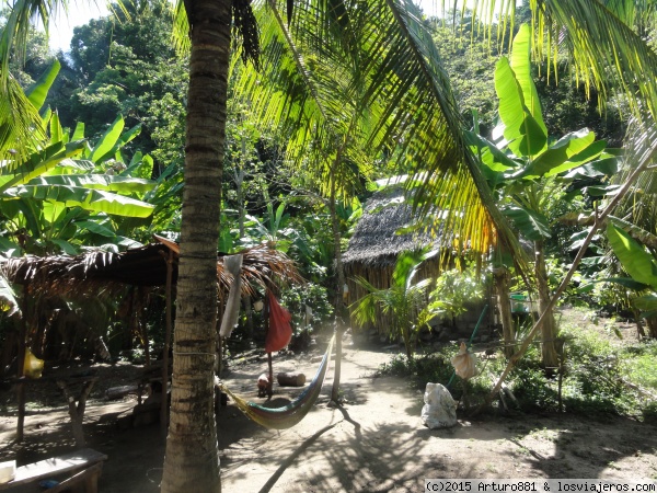 Selva de Punta Izopo
Otra imagen de donde nos encontrábamos en plena selva.
