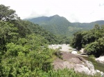 P.N. Pico Bonito: Río Cangrejal
Pico, Bonito, Río, Cangrejal, Mitch, Ceiba, esta, foto, río, lleva, poca, agua, pero, según, contaros, lugareños, año, huracán, desbordó, rebasó, copas, derecha, arrasando, todo, paso, hasta, llegar, encuentra, abajo, costa