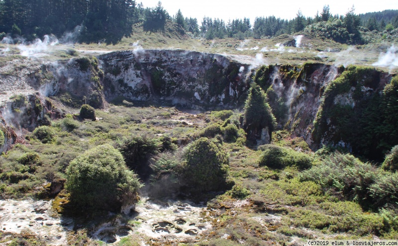 DIA 19 - Ruta de bajada hasta Turangi - NUEVA ZELANDA - Paraiso Natural (4)