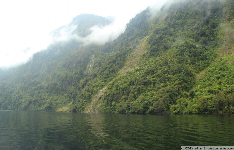 NUEVA ZELANDA - Paraiso Natural - Blogs de Nueva Zelanda - DIA 6 - Doubful Sound e intento de ir a Milford Sound (2)