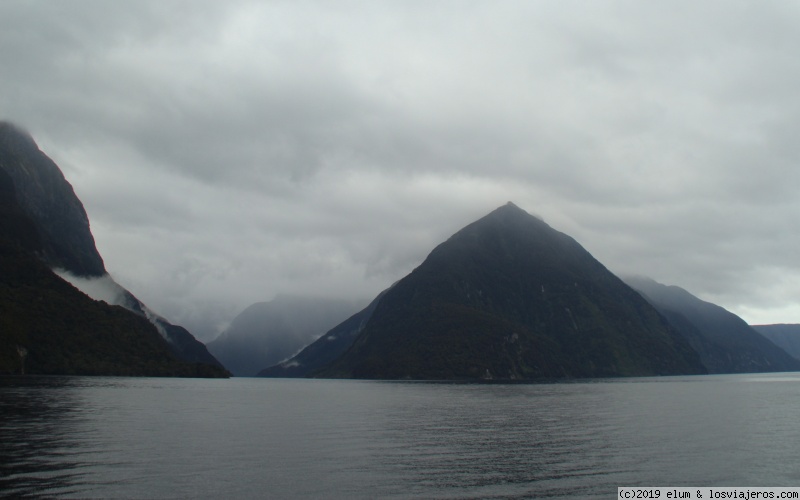 NUEVA ZELANDA - Paraiso Natural - Blogs de Nueva Zelanda - DIA 6 - Doubful Sound e intento de ir a Milford Sound (3)
