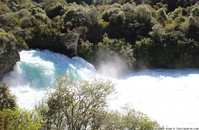 DIA 19 - Ruta de bajada hasta Turangi - NUEVA ZELANDA - Paraiso Natural (5)