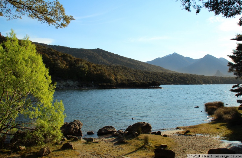 NUEVA ZELANDA - Paraiso Natural - Blogs de Nueva Zelanda - DIA 5 - Desde los Catlins a Manapouri (4)