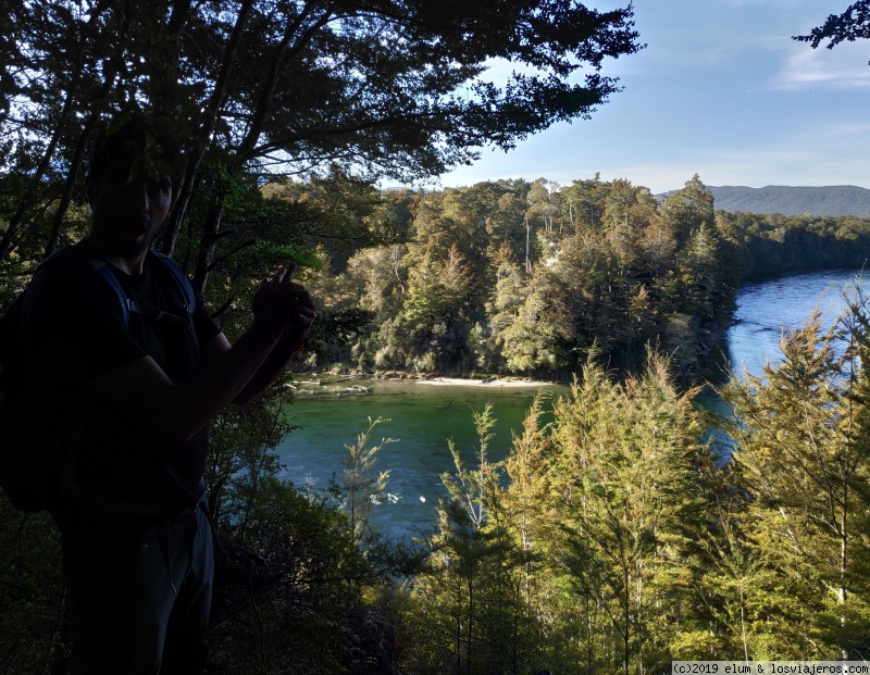 NUEVA ZELANDA - Paraiso Natural - Blogs de Nueva Zelanda - DIA 6 - Doubful Sound e intento de ir a Milford Sound (4)