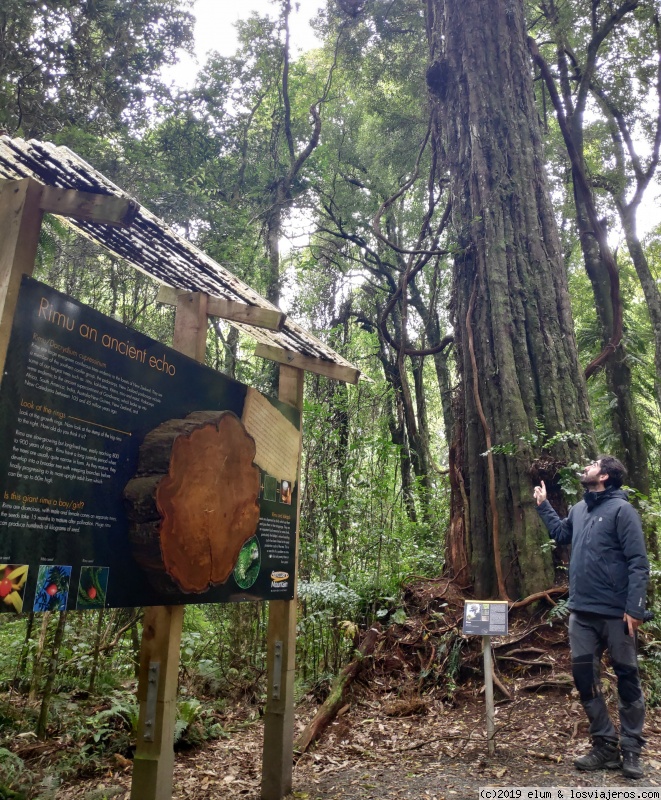 DIA 19 - Ruta de bajada hasta Turangi - NUEVA ZELANDA - Paraiso Natural (2)