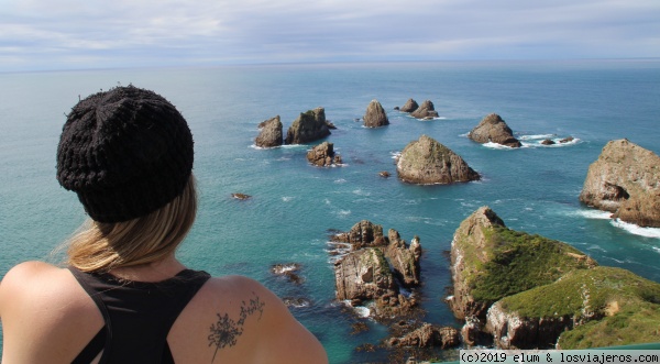 Nugget Point
Nugget Point
