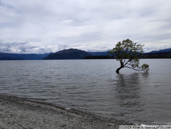 Wanaka
Wanaka
